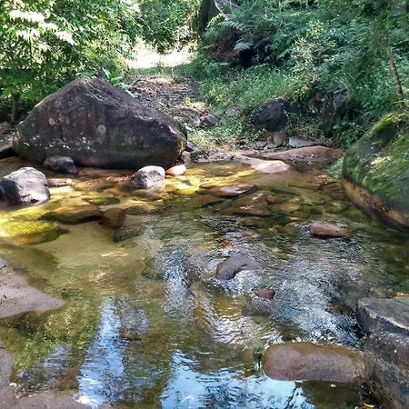 Hotel Fazenda Monte Crista Rio Bonito  المظهر الخارجي الصورة