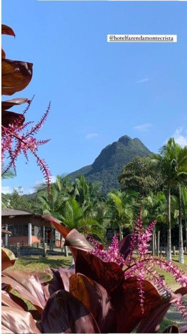 Hotel Fazenda Monte Crista Rio Bonito  المظهر الخارجي الصورة